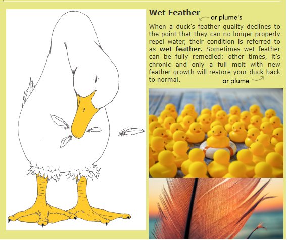 Not digging this weekend's forecast...