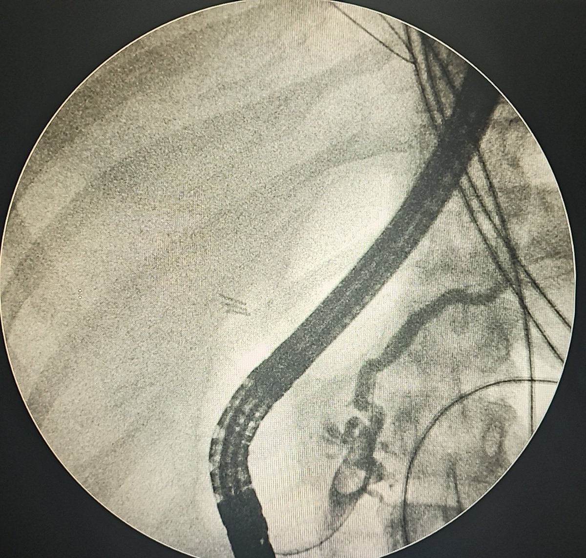 Turki AlAmri |تُرْكي عبدالله الْعَمريَّ MD tweet media