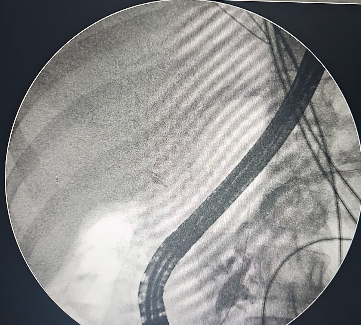 Turki AlAmri |تُرْكي عبدالله الْعَمريَّ MD tweet media