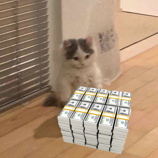 Comfy4ever.5mbk tweet media