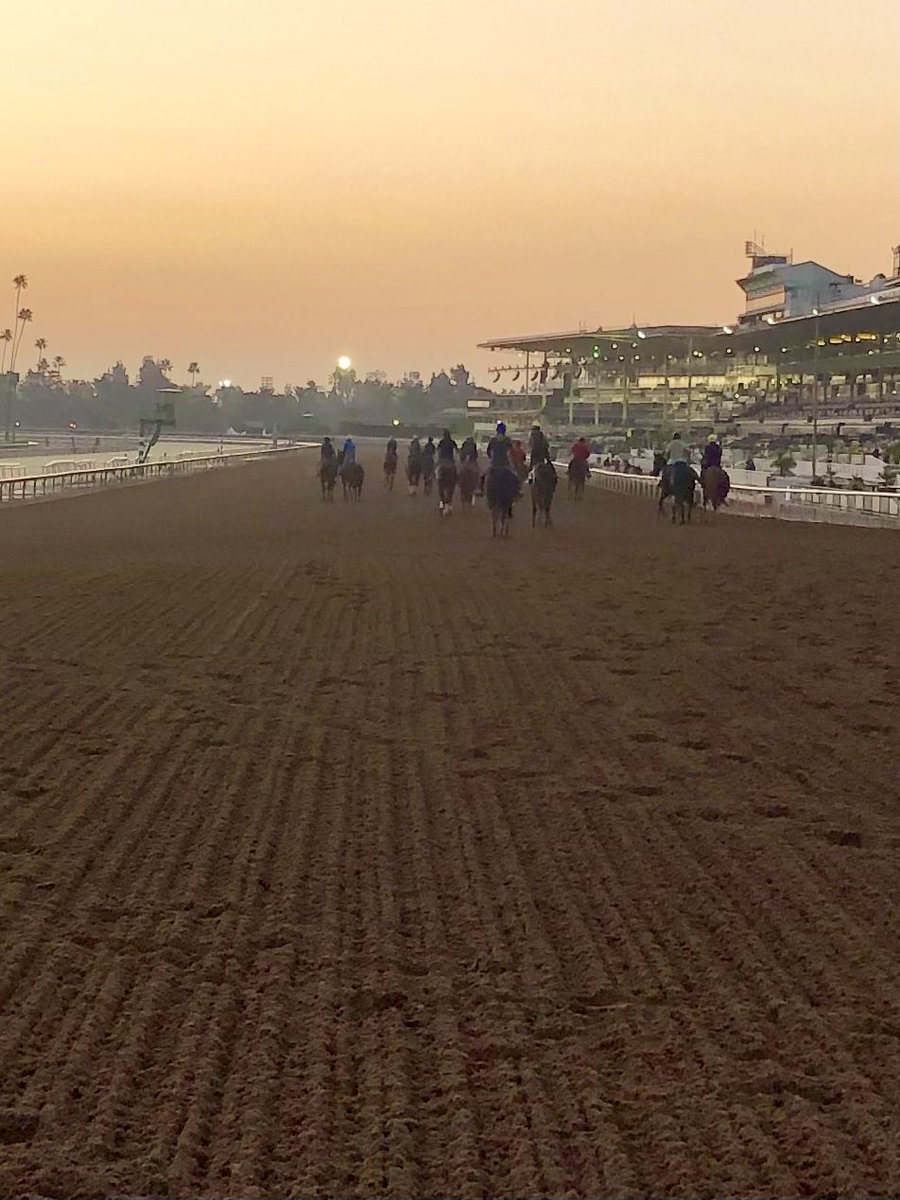 NeverSettleTV's tweet photo. T minus 1 day to Opening Day ⁦@santaanitapark⁩ https://t.co/OmXOLE1dDq
