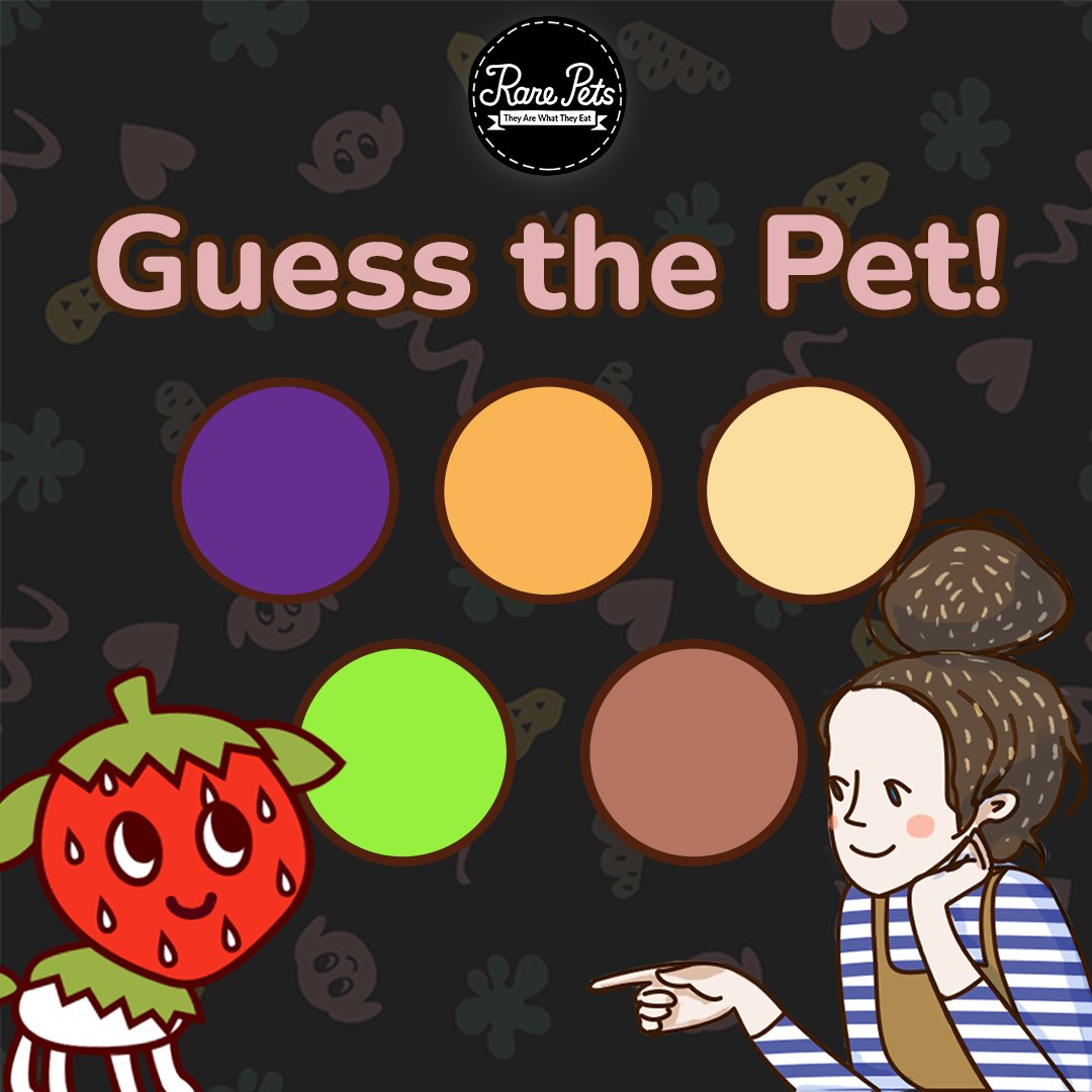 rarepetsgame's tweet photo. 🎨 Which pet do these colours represent? 🐾 Take a guess and see if you can match the colors to the right pet! #Colours #RarePetsGame #GuessThePet https://t.co/dJXbiU38bK