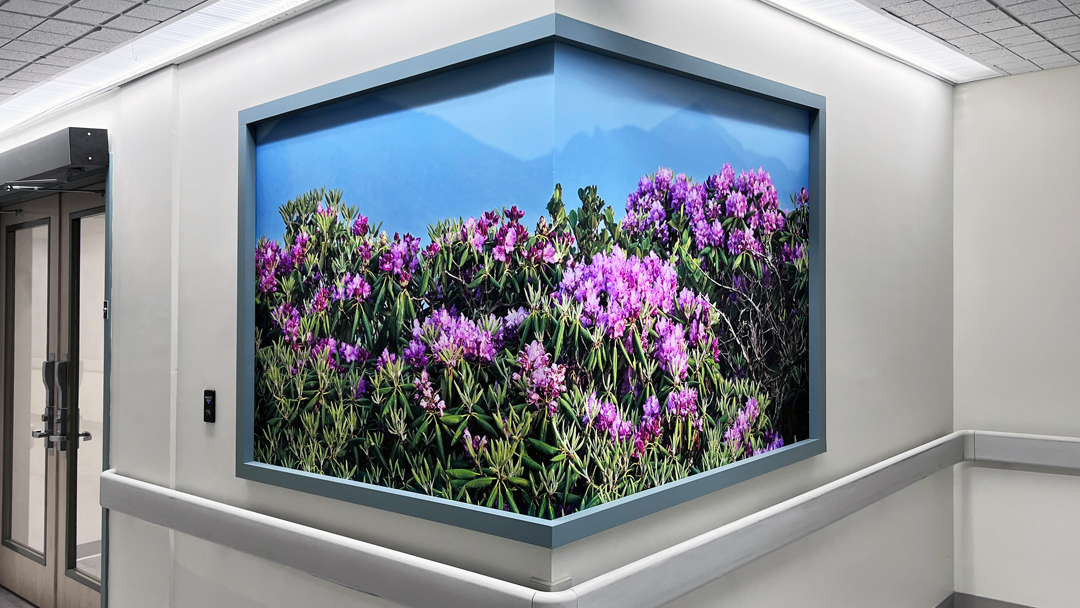 AMGraphics315 tweet picture