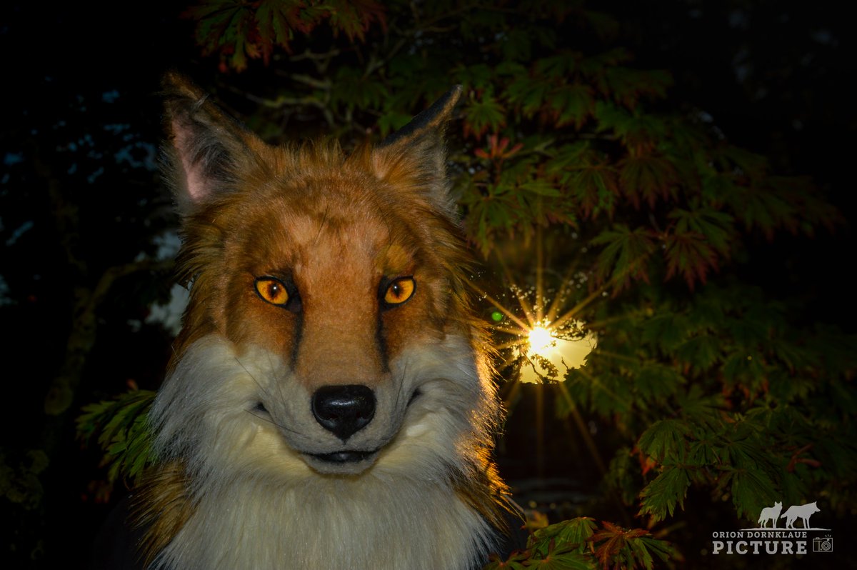 Die Eurofurence 28 war ein Riesenspaß! Vielen Dank für dieses wunderbare Abenteuer, vielen Dank an all die unglaublichen Spezien und Menschen die lange Zeit  nicht  mehr  gesehen hatte und mit denen ich einen Moment teilen durfte. Bis nächstes Jahr, Hamburg!