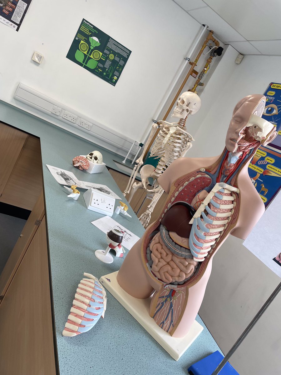 StanboroughS's tweet photo. A Big welcome to our visitors for our Open Evening at Stanborough! Science has prepared wonderful and fun activities in Biology, Chemistry and Physics in readiness for the visitors. https://t.co/PwIR5gOOAt