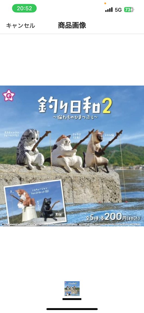 tomida1026's tweet photo. 釣り日和1.2.3 https://t.co/L4lKcNNtcd