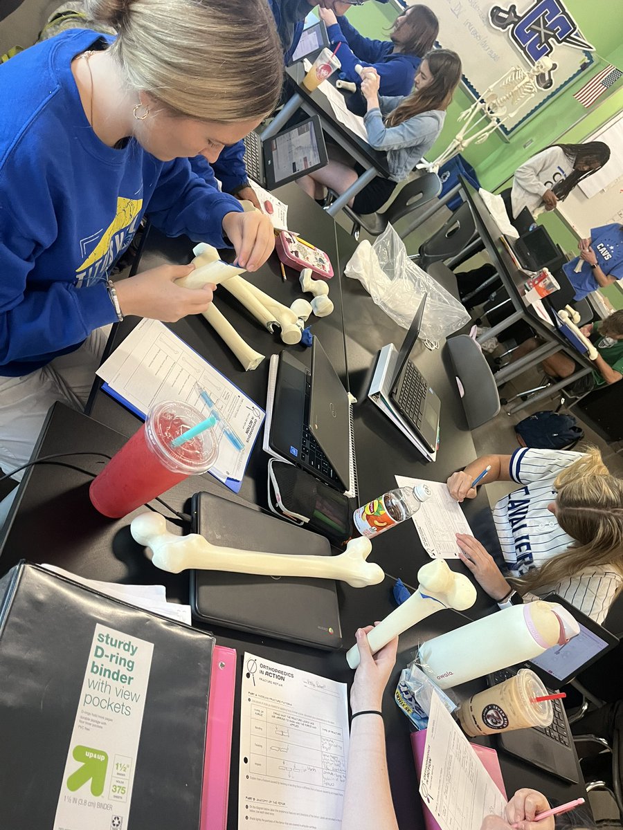 Megan McReynolds tweet media