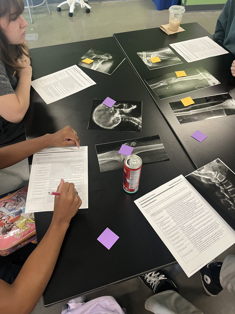 Megan McReynolds tweet media