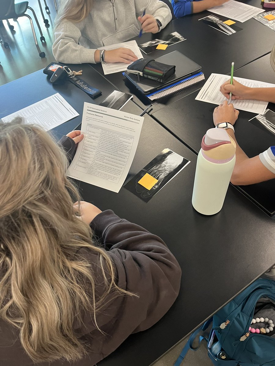 Megan McReynolds tweet media