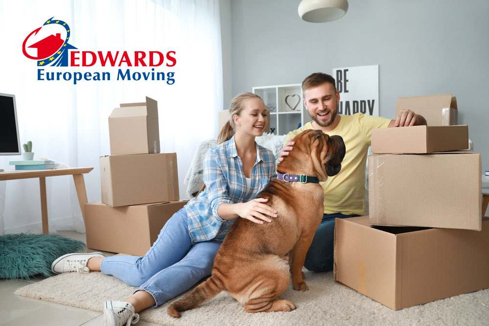 EEuropeanMoving's tweet image. 🐾 Guide to Moving Pets to Europe! 🐾 Planning to relocate your pet to Europe? 🌍🐶 we’ve got all the tips and advice 📄 Read the full blog here: edwardseuropeanmoving.com/guide-to-movin…
#PetTravel #PetRelocation #MovingWithPets #EuropeMove #PetTransport #PetMovingExperts #StressFreeMove