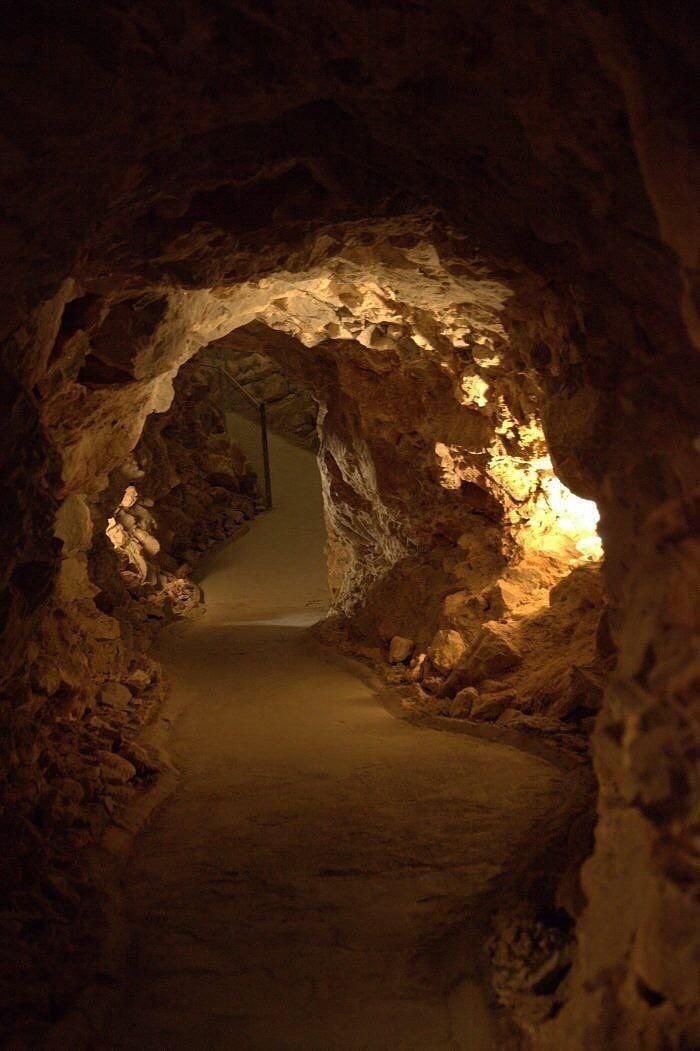 Know Your Meme on X: "Rumors that Diddy had a secret tunnel beneath his home are false. More info in the replies." / X