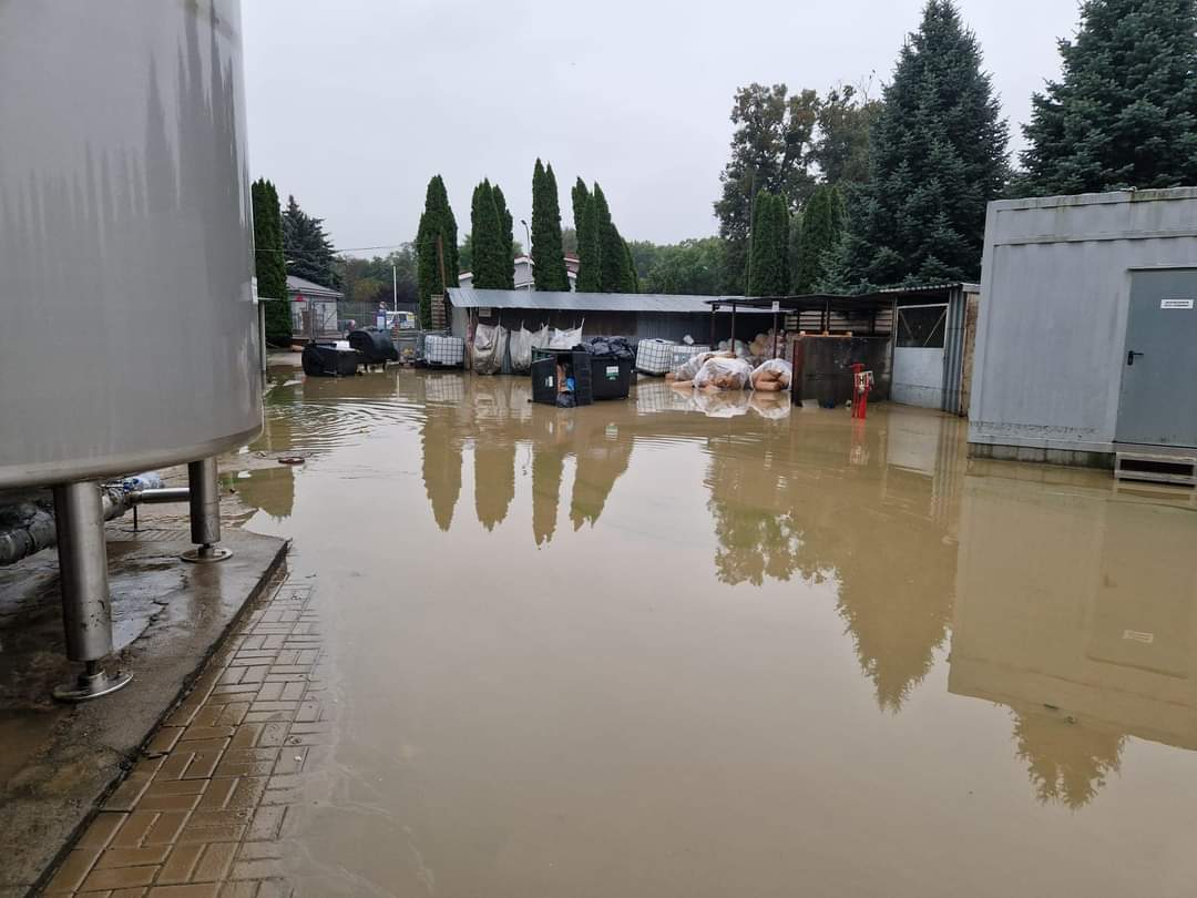 uwaga żywność z 482 tweet media