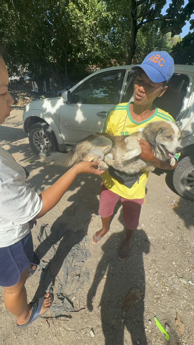 Niall Harbison tweet media