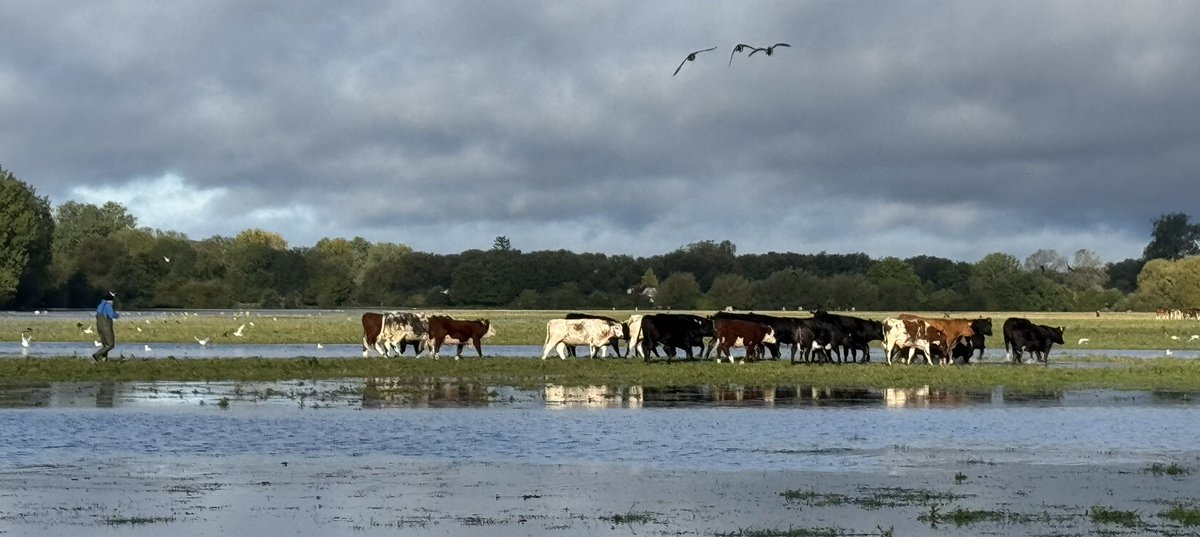 Julian Cooper tweet media