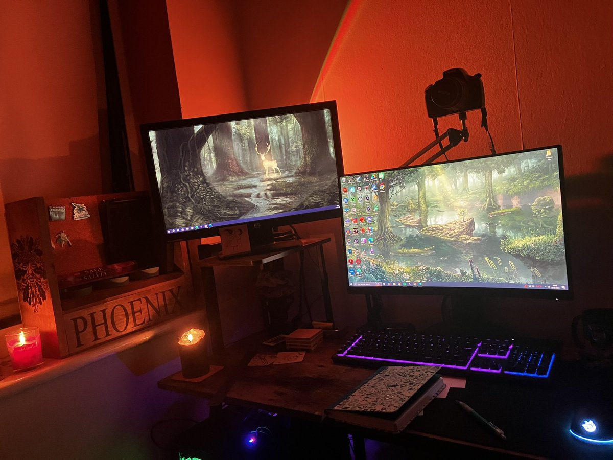 phoenix_pyxis's tweet photo. Rearranging my work studio. I’m liking this  layout a lot better! ✨ https://t.co/ctpYCq0Z7B