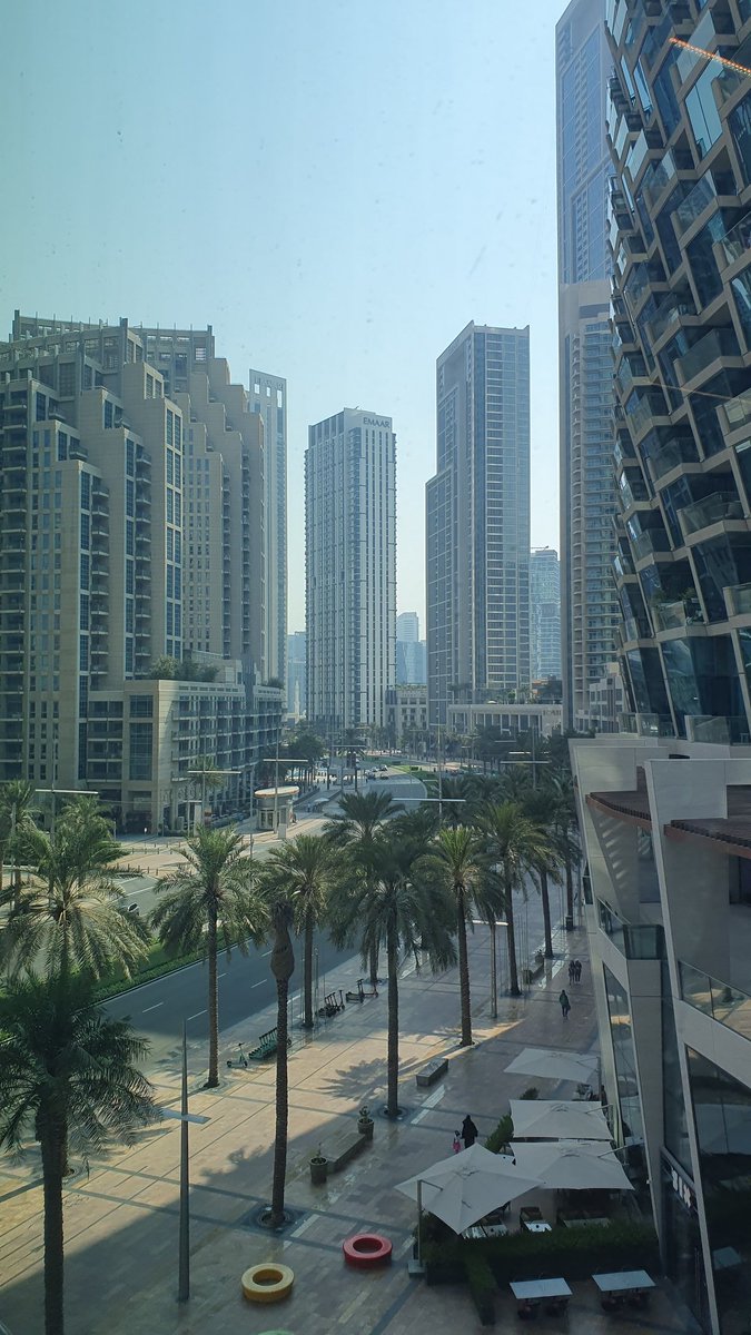 moonlightowl22's tweet photo. See you next year 🦋
#dubailife #dubailifestyle #Dubai https://t.co/qytUS5a7oI