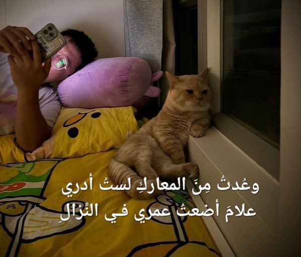 المتنبي. (@almtnabby) on Twitter photo 