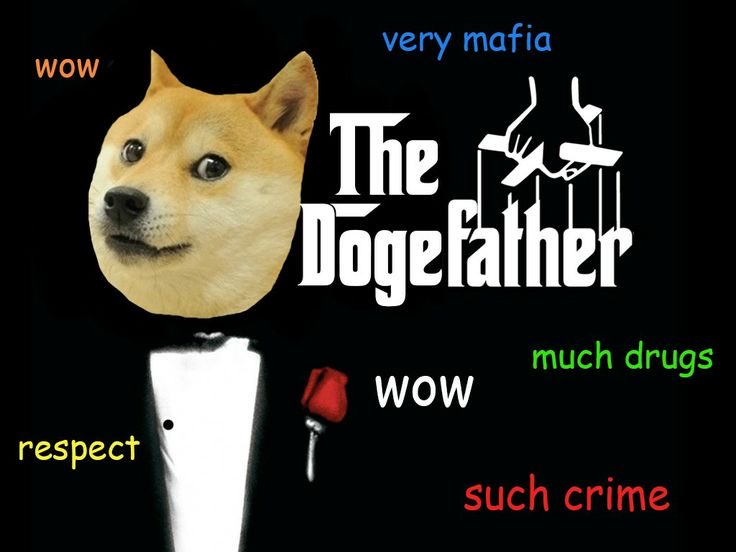 thedogeuncle's tweet photo. @cb_doge https://t.co/xQjjTVsslB