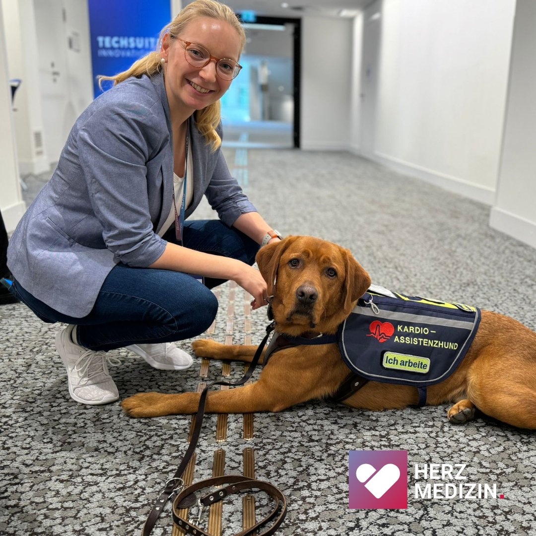 Herzmedizin_de's tweet photo. ❤️ https://t.co/olGM93ruZ5 hat mit Karolin Bartels und ihrem Labrador Ari gedreht! 🐾 Ari warnt sie vor drohenden Herzrhythmusstörungen, drückt Notfallknöpfe und kann Hilfe herbeibellen. Eine besondere Verbindung, die Leben retten kann.💪 Mehr bald auf https://t.co/olGM93ruZ5 https://t.co/eeFU8NL4lk