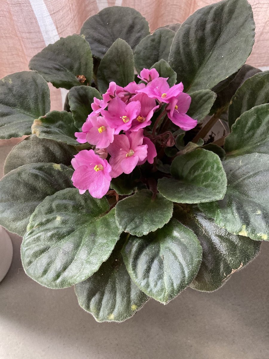 Minna M. Timo (@minnatimo) on Twitter photo 