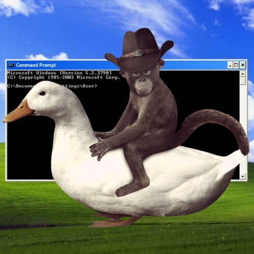 CowboyMonkeyDuck.exe tweet media