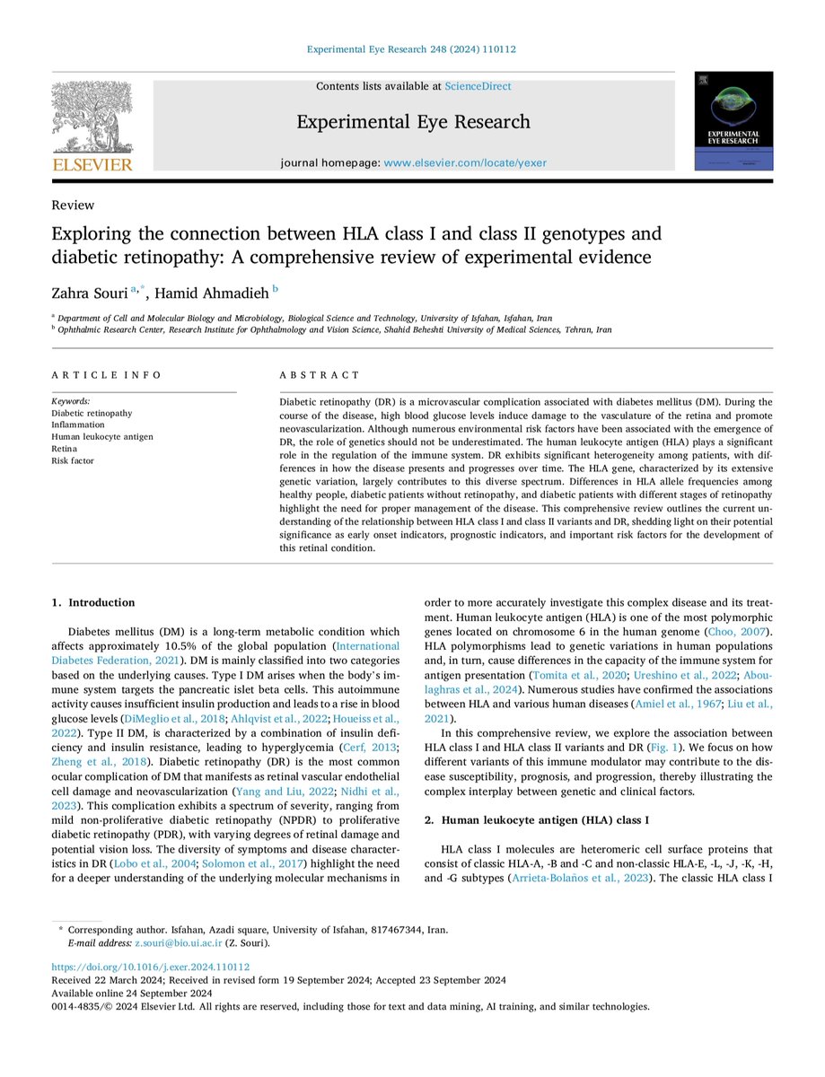 A timely review on diabetic retinopathy and immune system components: