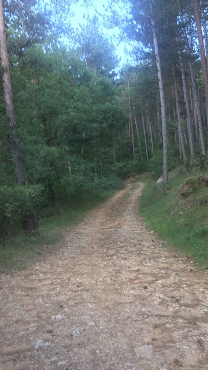basilio_nadal's tweet photo. Comienza a salir algunas setas comestibles, las últimas lluvias que an caído con abundancia, y una temperatura ideal para estas esporas hace que se vean algunos. Fotos CASA SARRAU. PIRINEO de HUESCA. ESPAÑA https://t.co/wxXQtC2rbY