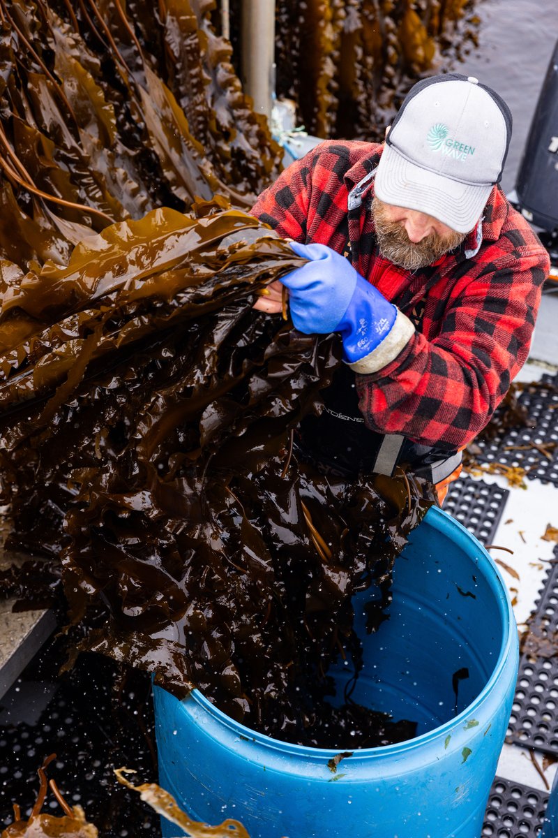 GreenWave tweet media