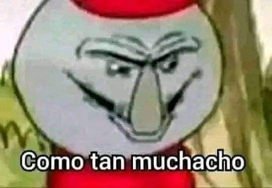 Cojón de Oso tweet media