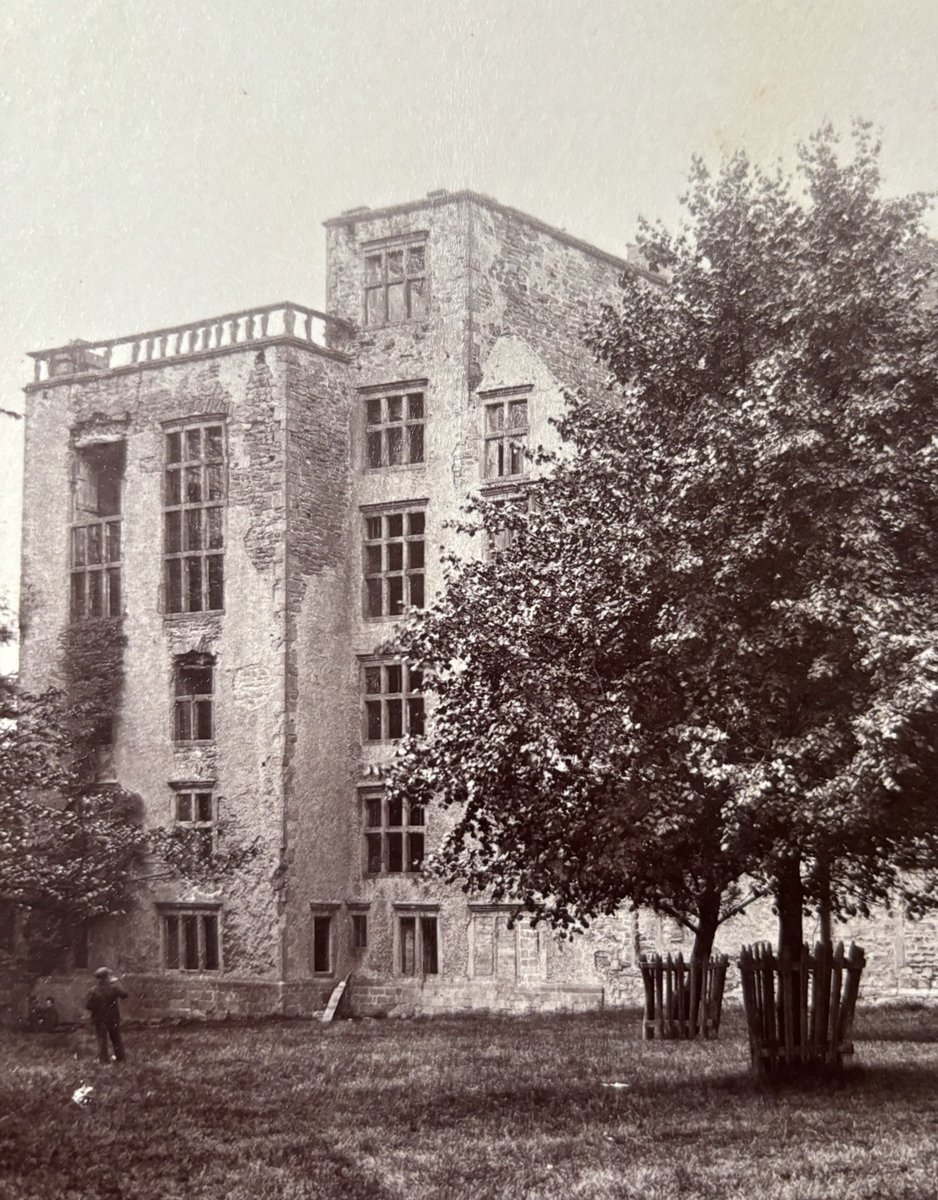 Kate North tweet media