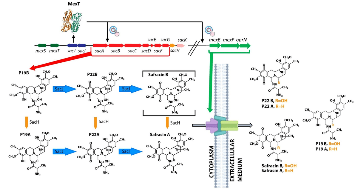Environmental Biotechnology tweet media
