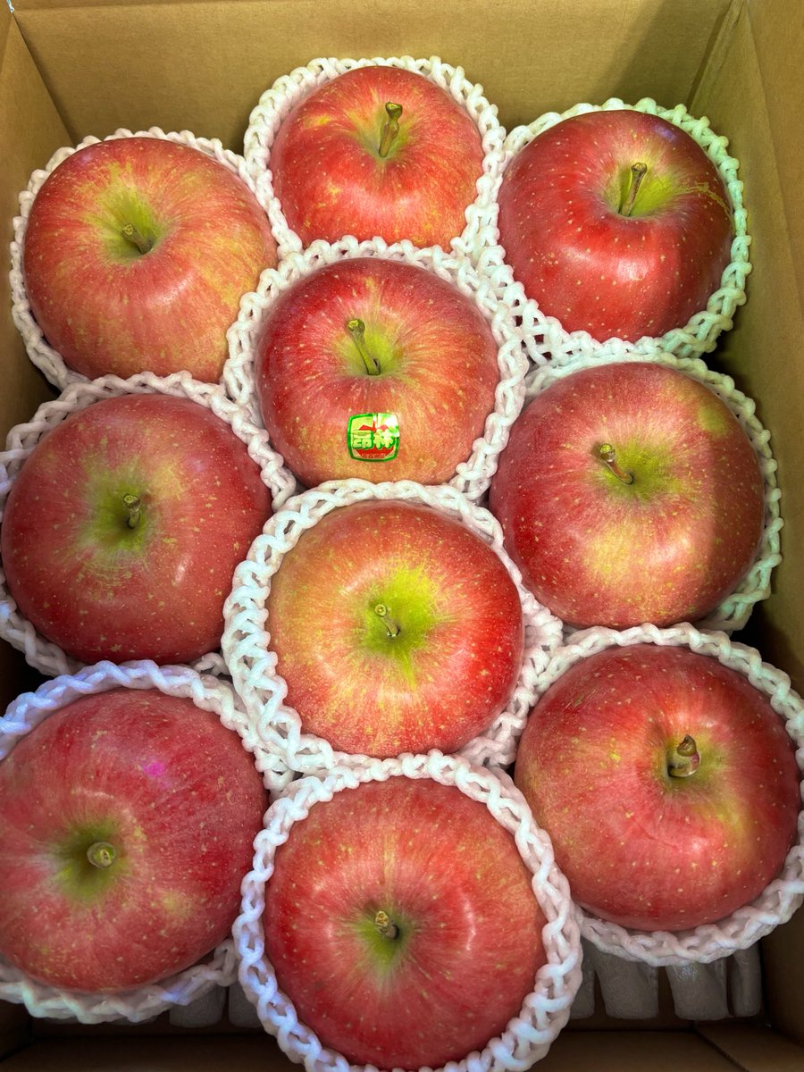Apple_Sutou's tweet photo. 「葉取らず昂林」
収穫始まりました🍎 https://t.co/eMNRZqMrmi