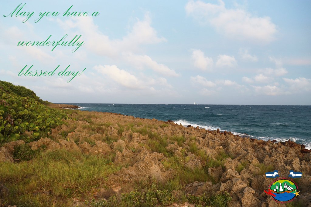 MuniGuardiola's tweet image. !Que tengas un día maravillosamente bendecida¡