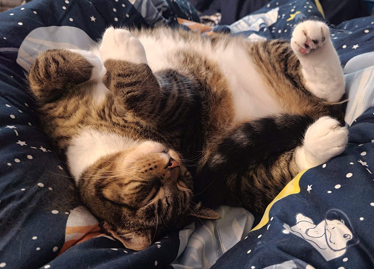 I just wanted to share Taco.