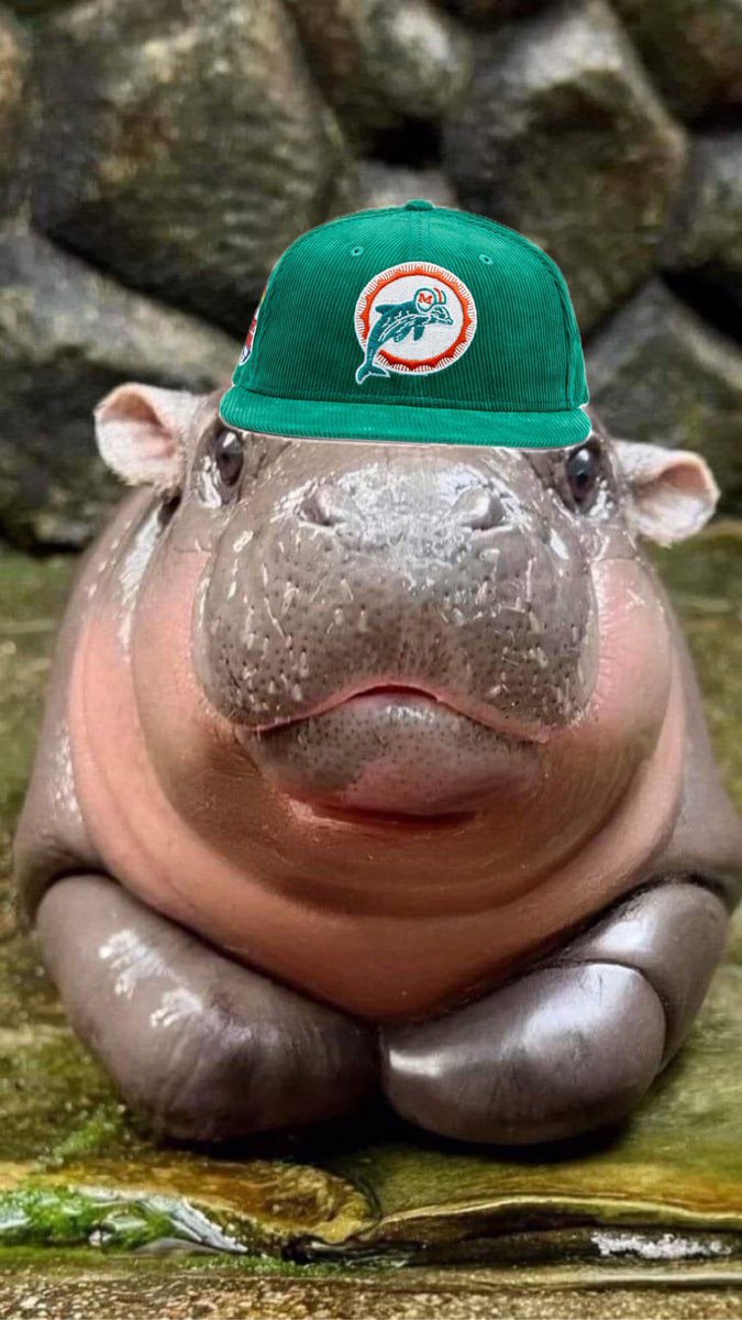 B_Shousejr's tweet photo. Me showing up Monday Night ready to be hurt again. https://t.co/ENM7ydE1Ta