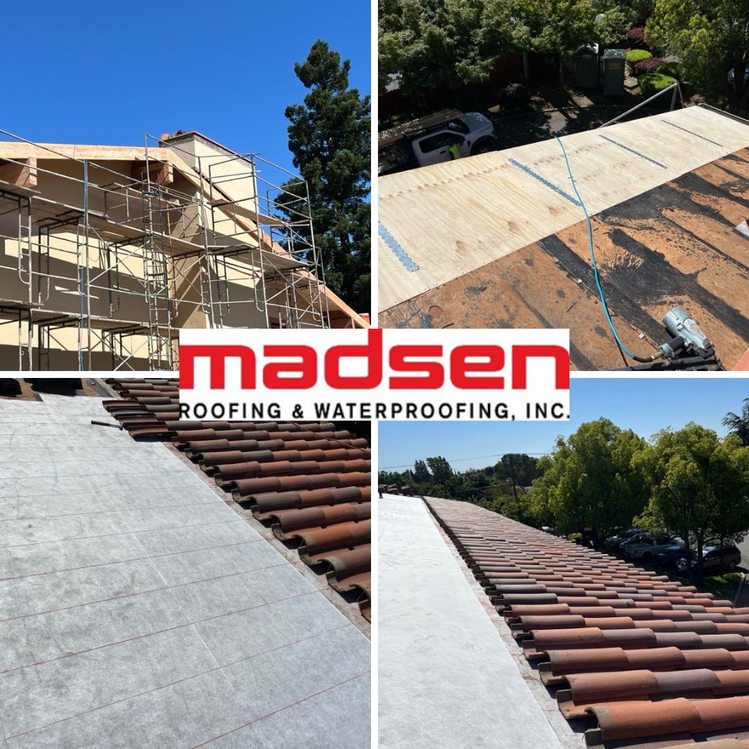 MadsenRoofing's tweet image. 🔨🏠 Ever wonder what goes into a roof that stands the test of time? At Madsen Roofing and Waterproofing, we blend expertise with a personal touch to ensure your property is safe and secure, rain or shine.

#RoofingExperts #MadsenRoofing #TileRoof