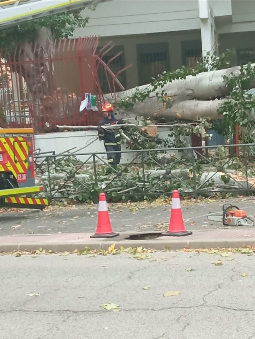 Foto cedida por FAMPA Alcalá