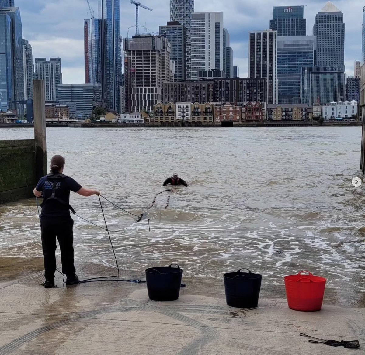 🚨 New Research Alert! 🚨 Wanda Bodnar, Amy Pryor &amp; Steve Colclough have just published a groundbreaking paper on estuarine ecosystems. 🌍 Explore their research on #environmentalmanagement &amp; the #Thames. Read more: zenodo.org/records/137921… 🌊 #ThamesEstuary #CoastalScience