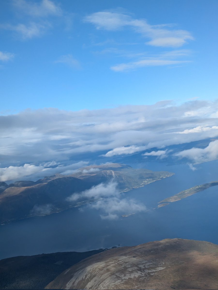 Lisa Lynn tweet media