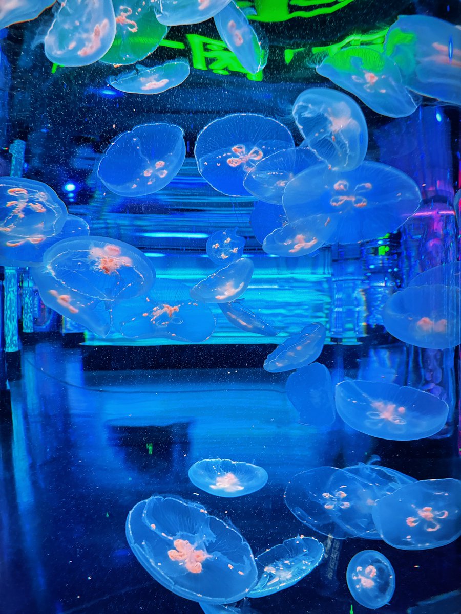 黄推福利内容 - May8的精彩图片 福利姬May8分享的黄推图片2 - 网红私拍内容