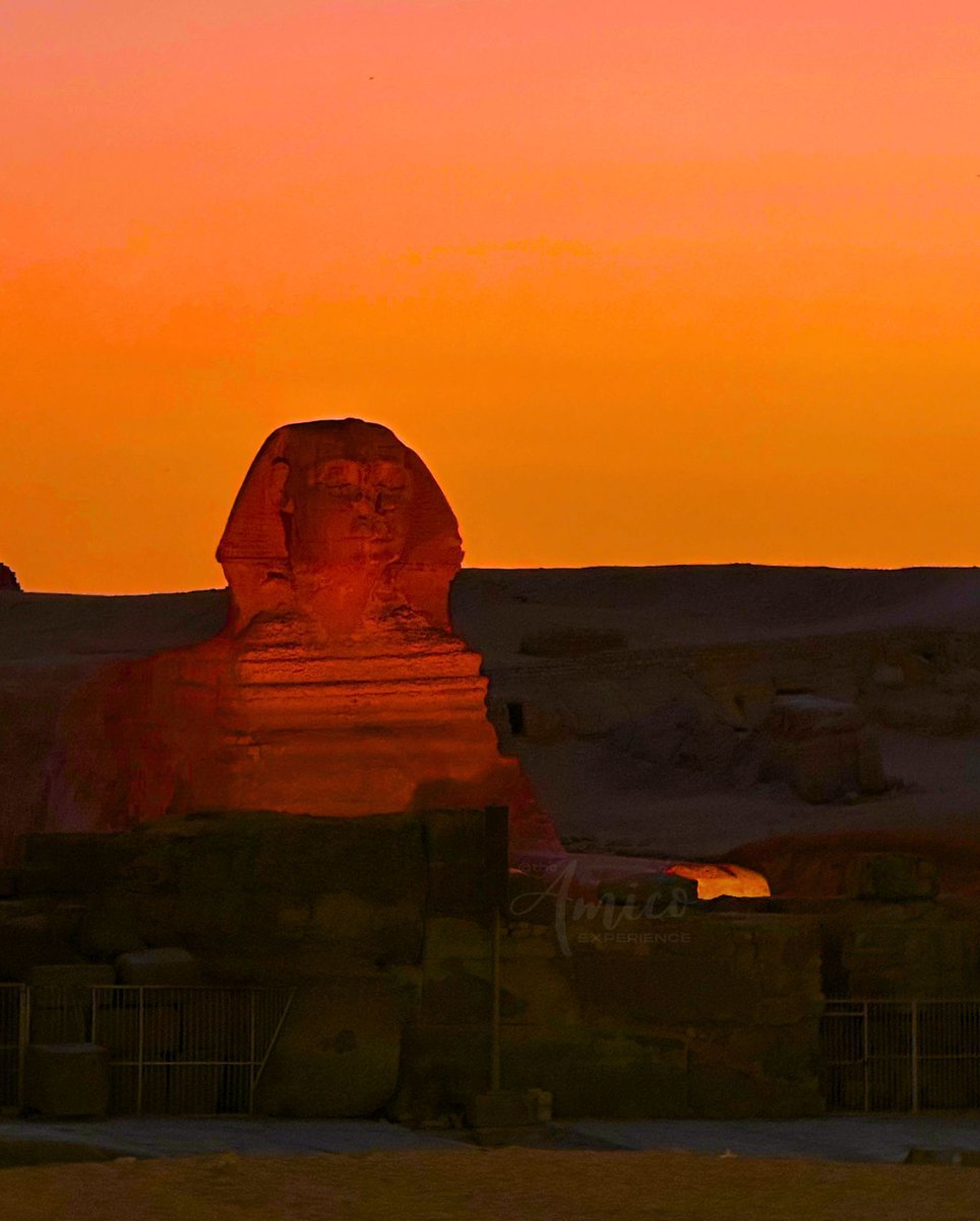 The Great Sphinx 

#cairo #egypt #theamicoexperience #theamicoexperiencecairo
#travelawesome #travelblogger #travelbloggerlife #travelblogging #traveldiary #travelingram #traveller #worldtraveler #traveltheworld #photooftheday​​​​​​​​ #greatsphinx #ancientwonders #egyptianhistory