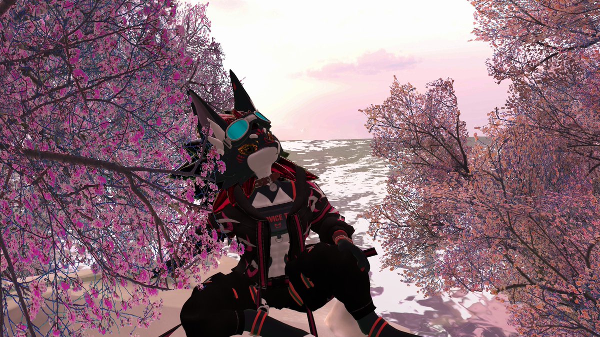 👑 Royal Necks 🧣 tweet media