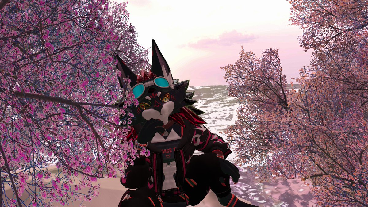 👑 Royal Necks 🧣 tweet media