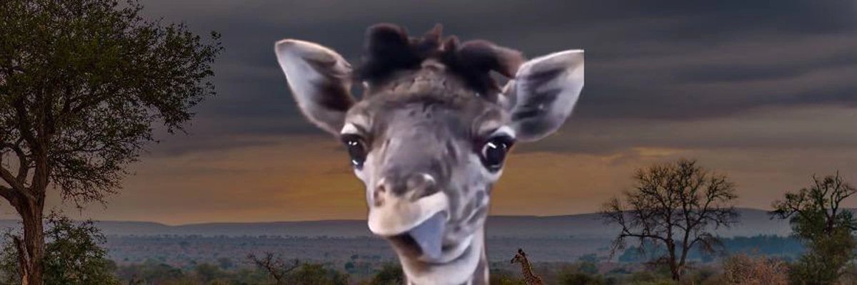 DailaiLlama's tweet photo. $DIXIE next up https://t.co/td3t0ACBgW