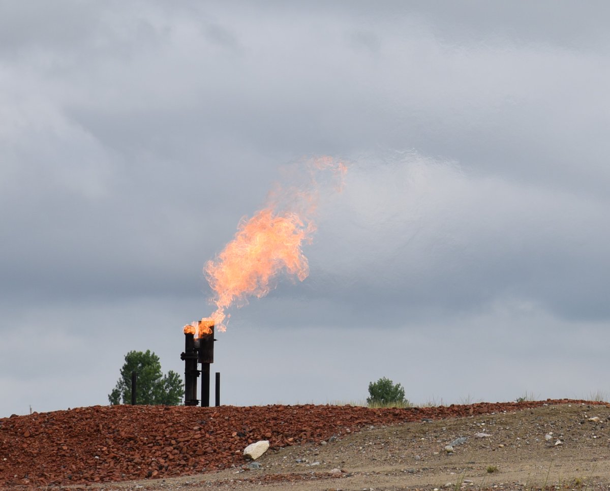 EkDavidA's tweet photo. On 10/1 I will launch my new free blog "The Americopa Review" (TAR)— a literary blog of the American experience. The first posting "Gaslighting Sturgeon" a short story set between MT/ND's Powder &amp; Missouri Rivers—the land of the pallid sturgeon &amp; gas flares. #nature #Literature https://t.co/9BinQVjnJZ