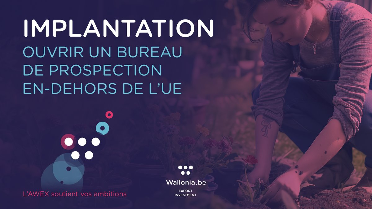 📈 Développez votre présence à l'international, hors UE ! 📌

Via :

🌱/🌿 un bureau de représentation commerciale

🌳 l’occupation, à l’étranger, d’un incubateur ou d’un espace de coworking offrant un accompagnement

L'AWEX soutient vos ambitions. 💦🪴

awex-export.be/fr/aides-et-su…