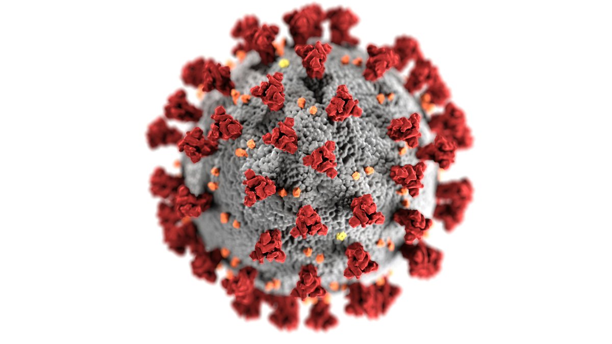 NIHR BioResource (@nihrbioresource) on Twitter photo A new study published in <a href="/NatureMedicine/">Nature Medicine</a>, which used #BioResource volunteer data, has linked #COVID19 hospitalisations to significant cognitive decline & brain structure changes, even after a year post-recovery.
Discover more here: bit.ly/4doWlV0 A new study published in <a href="/NatureMedicine/">Nature Medicine</a>, which used #BioResource volunteer data, has linked #COVID19 hospitalisations to significant cognitive decline & brain structure changes, even after a year post-recovery.
Discover more here: bit.ly/4doWlV0