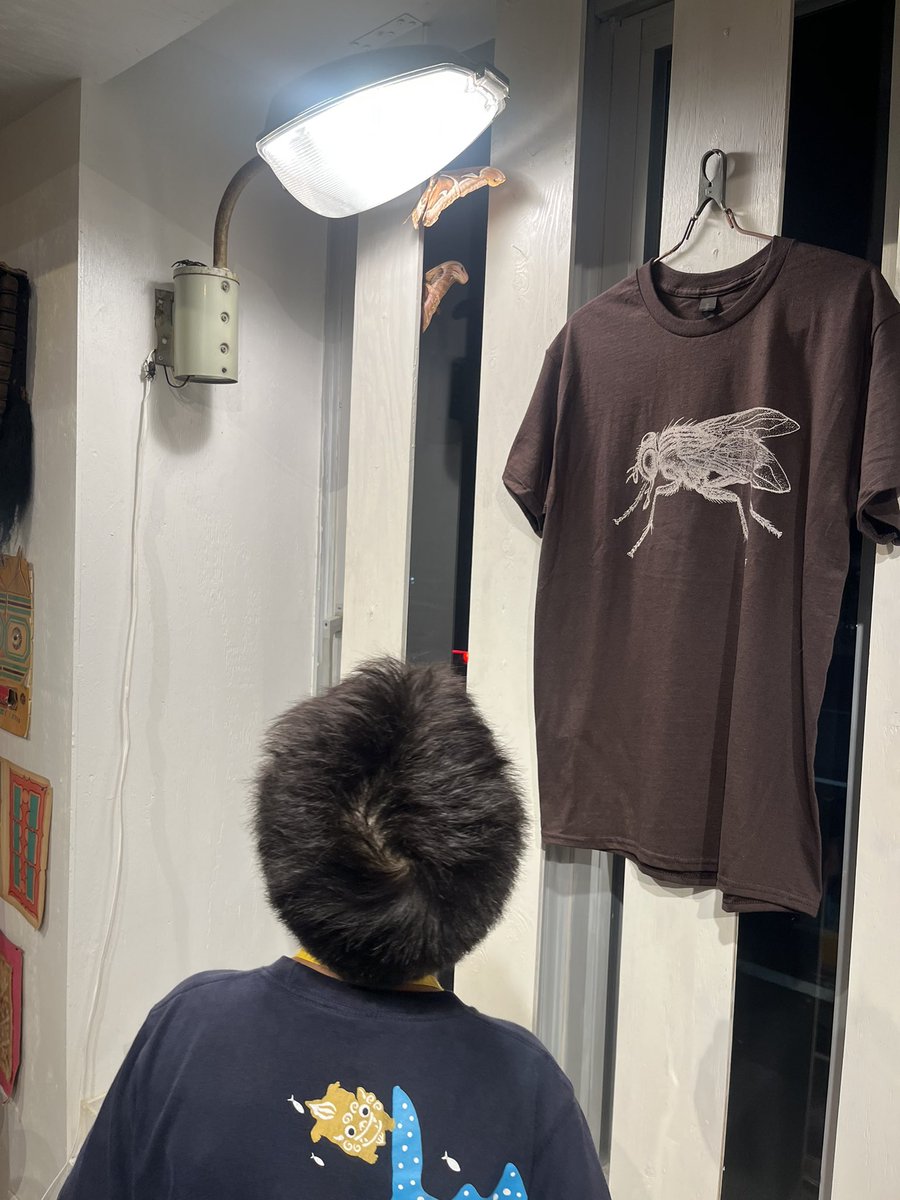 蛾の翅の奥深い宇宙。
「是非、見て、感じて、言葉にしてみて下さい。」
蛾を中心とした展示はアウトオブミュージアムで10月6日まで。