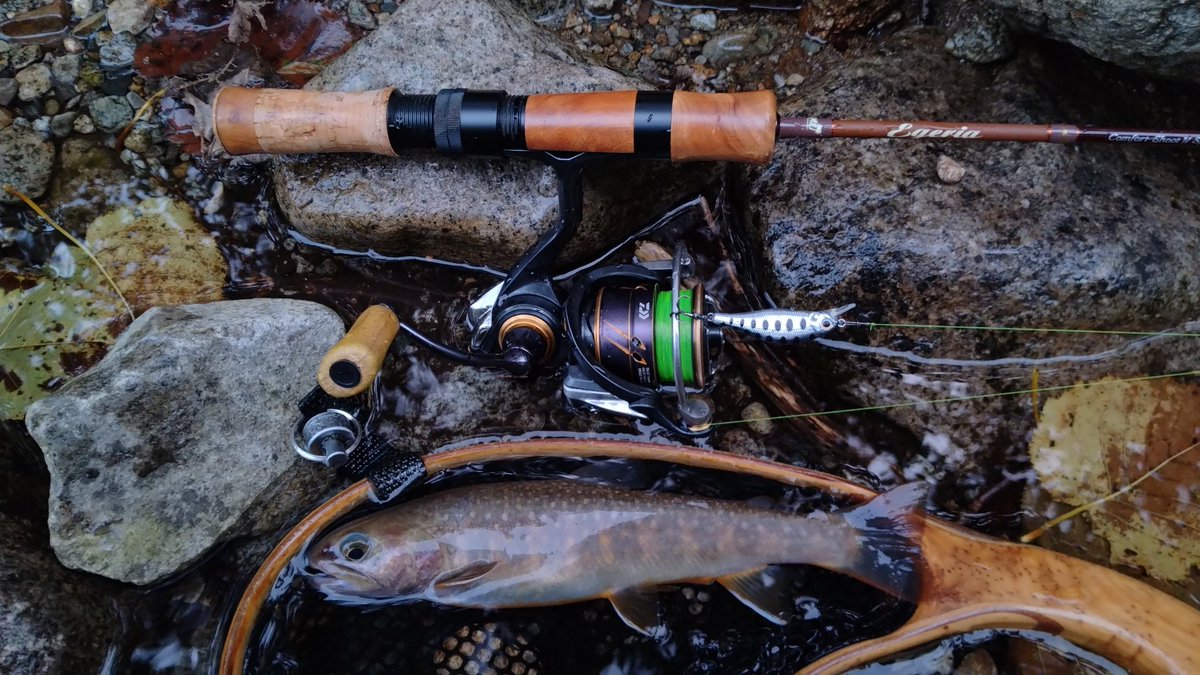 fujihir16395883's tweet photo. 宿直明け
大物ではないが、
いい顔の　#イワナ　が釣れた✨
#palms
#egeria
#alexandra
#daiwa
#caldia
#slpworks https://t.co/5uls8Jw6SY