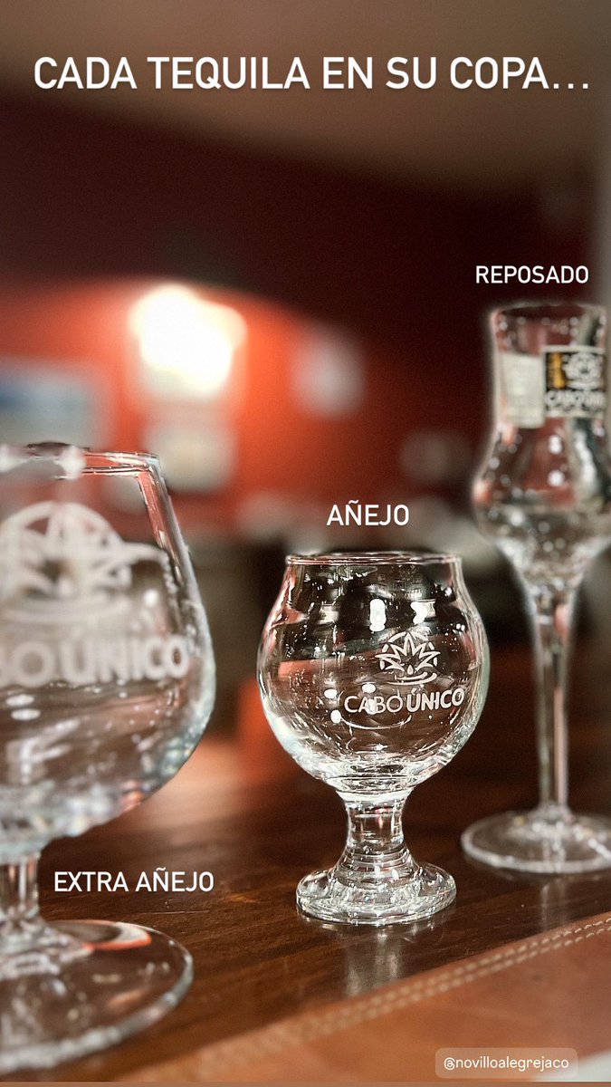 El disfrutar perfectamente de nuestros Tequilas Artesanales corresponde identificar de manera correcta su copa de cata. 
Cada una de ellas posee características intrínsecamente correlacionadas con el periodo de maduración de nuestros Tequilas <a href="/cabounico/">Tequila Cabo Único</a>